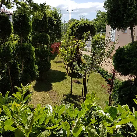 Dunja マリンスカ