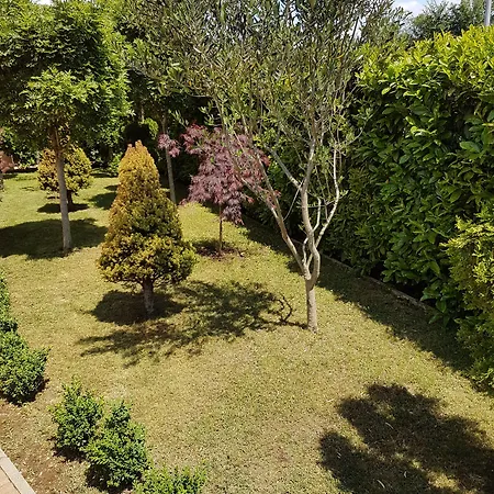 Dunja アパート *